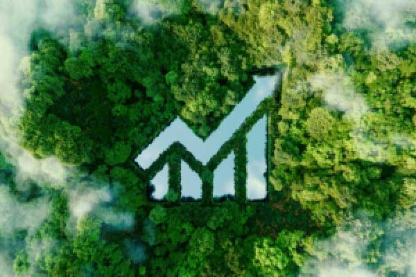 保利李勇：在海南建好房子不容易 成本比广东高