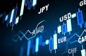 2024年上市公司独董观察：东吴证券、思瑞浦、复洁环保独立董事罗妍合计薪酬42万元 现任复旦大学教授及博导